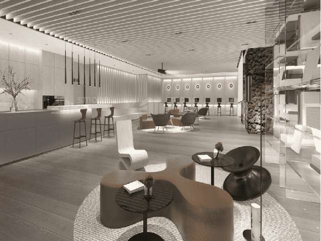 龙华区特色快速阅读